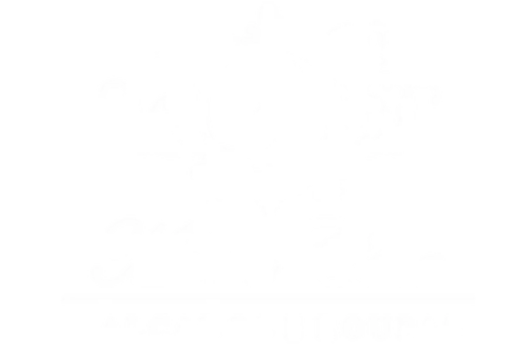 Loja 8