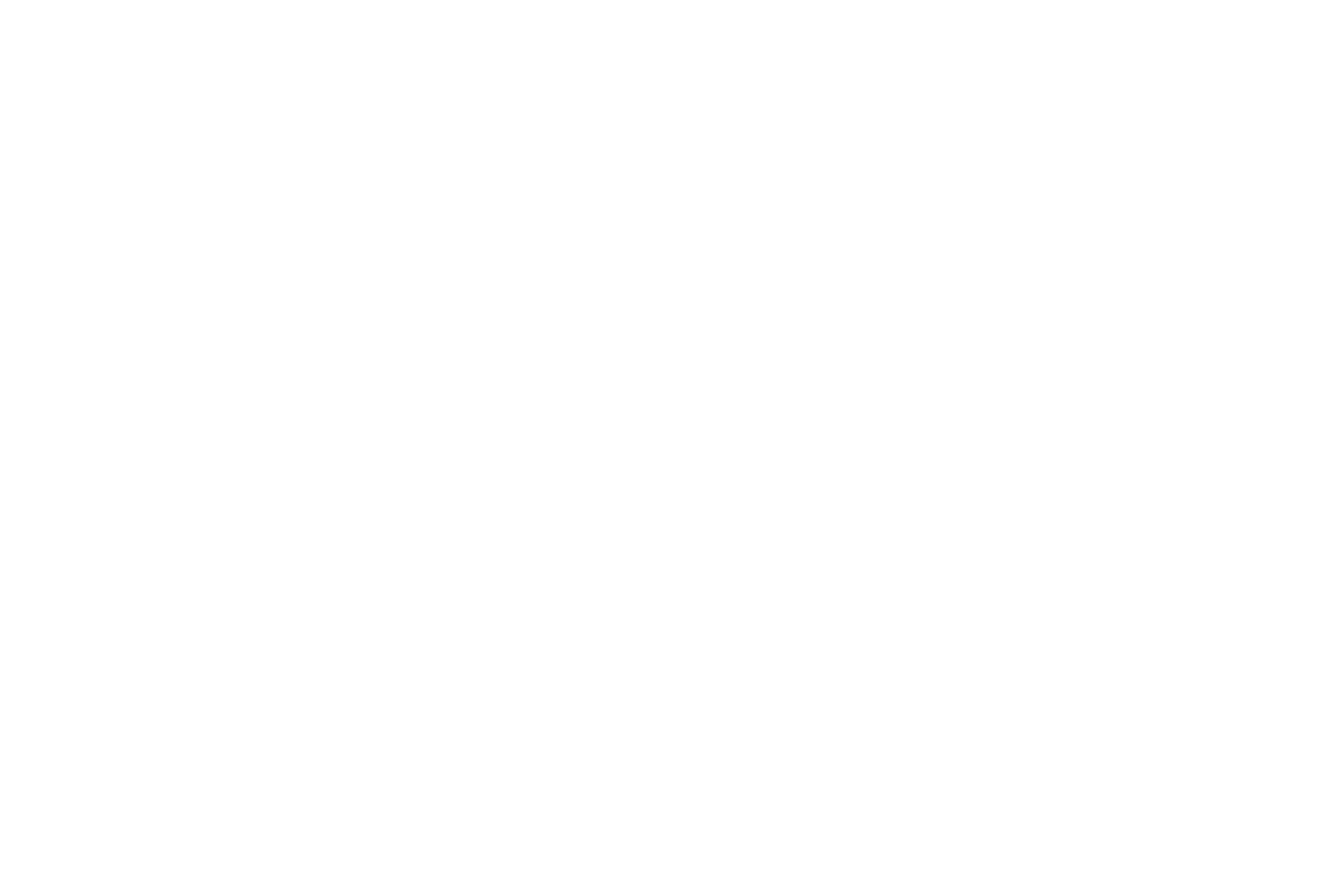 Plataforma 0